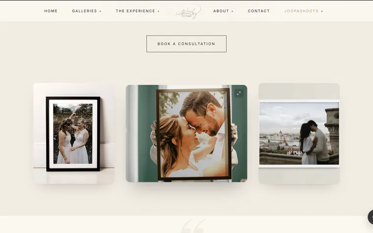Websites & Landing Pages